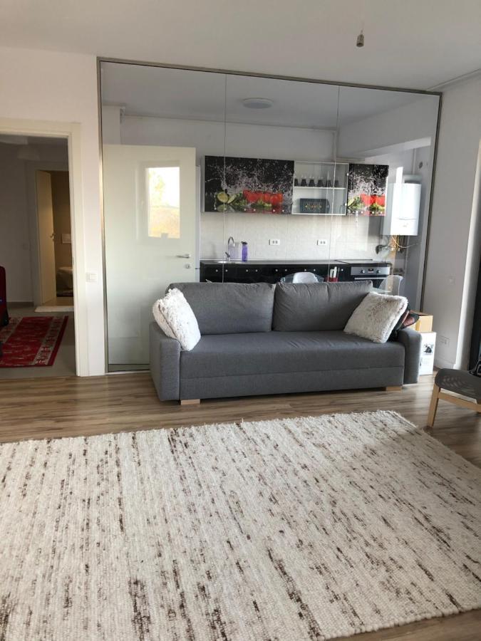 Brancusi Apartment Бухарест Экстерьер фото